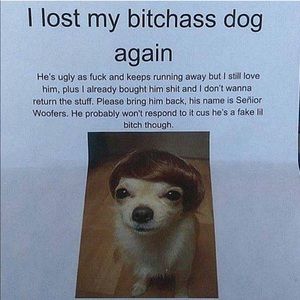 Meet your Posher, Daniella